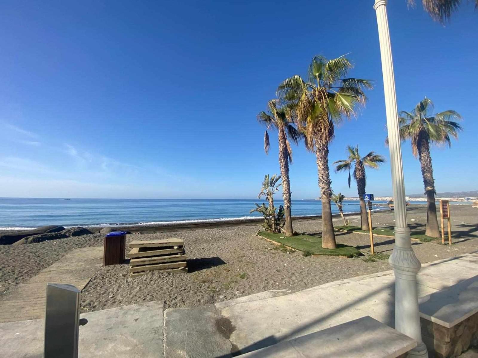 Hoja Cala *