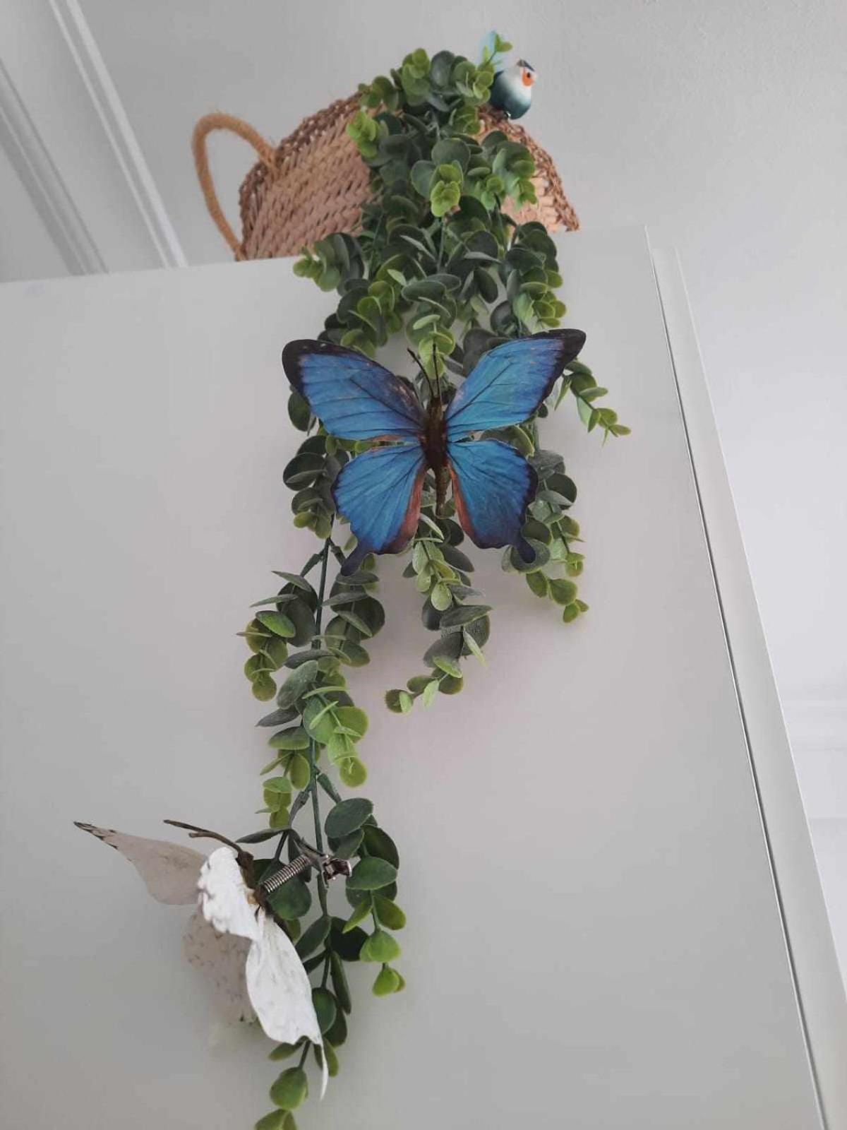 Hoja Cala Appartement